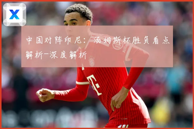 中国对阵印尼：汤姆斯杯胜负看点解析-深度解析