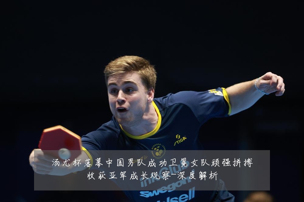 汤尤杯落幕中国男队成功卫冕女队顽强拼搏收获亚军成长观察-深度解析